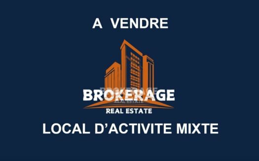 MIXTE ACTIVITES-BUREAUX à VENDRE