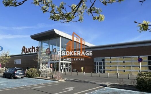 LOCAL PROFESSIONNEL à LOUER